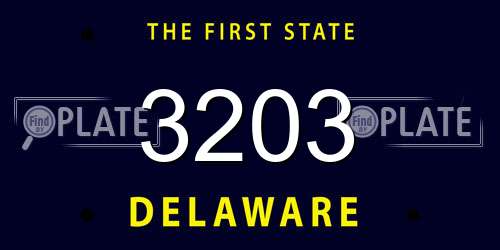 3203 Delaware License Plate