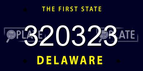 320323 Delaware License Plate