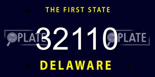 32110 Delaware License Plate