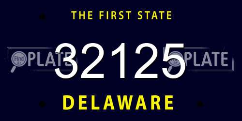 32125 Delaware License Plate