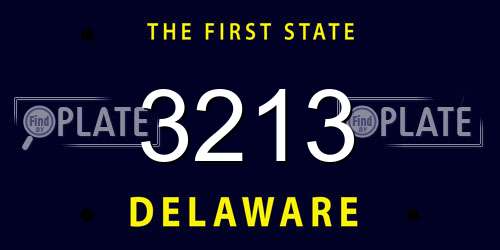 3213 Delaware License Plate