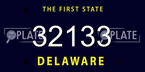 32133 Delaware License Plate