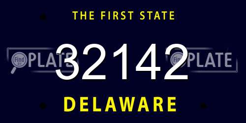 32142 Delaware License Plate