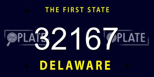 32167 Delaware License Plate
