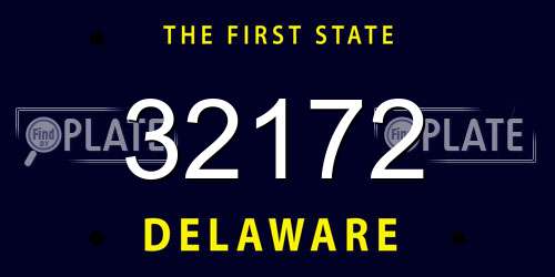 32172 Delaware License Plate