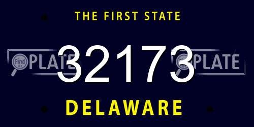 32173 Delaware License Plate