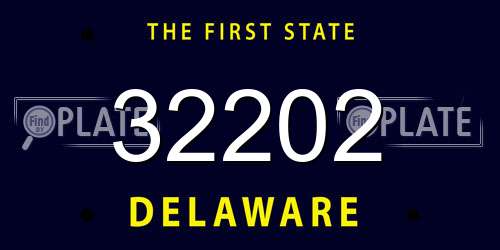32202 Delaware License Plate