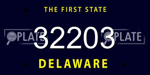 32203 Delaware License Plate