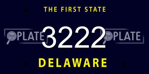 3222 Delaware License Plate