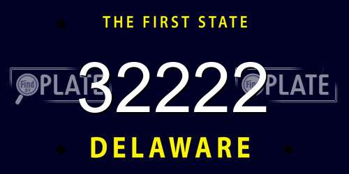32222 Delaware License Plate