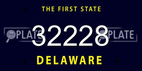 32228 Delaware License Plate