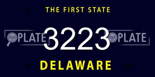 3223 Delaware License Plate