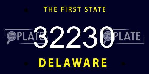 32230 Delaware License Plate