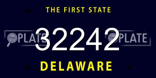 32242 Delaware License Plate