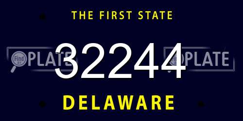 32244 Delaware License Plate