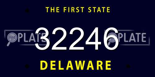 32246 Delaware License Plate