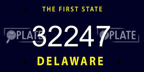 32247 Delaware License Plate