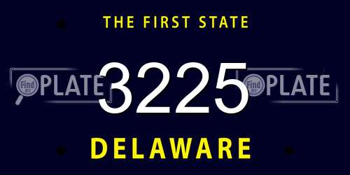 3225 Delaware License Plate