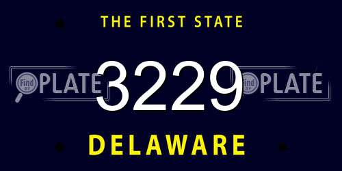 3229 Delaware License Plate