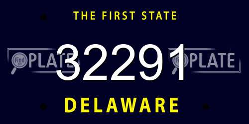 32291 Delaware License Plate