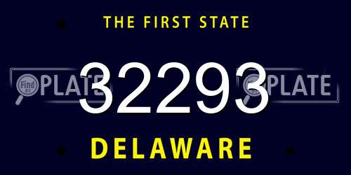 32293 Delaware License Plate