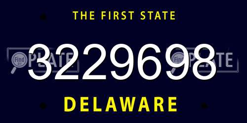 3229698 Delaware License Plate