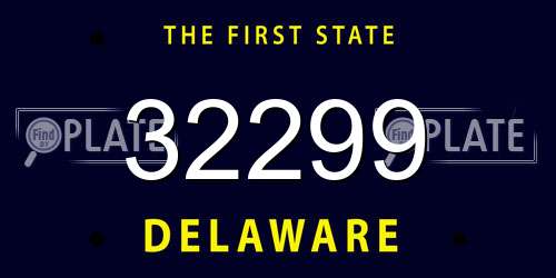 32299 Delaware License Plate