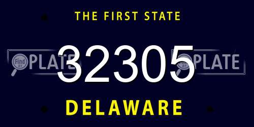 32305 Delaware License Plate