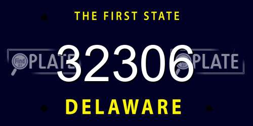 32306 Delaware License Plate