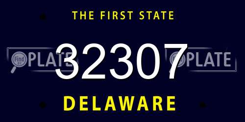 32307 Delaware License Plate