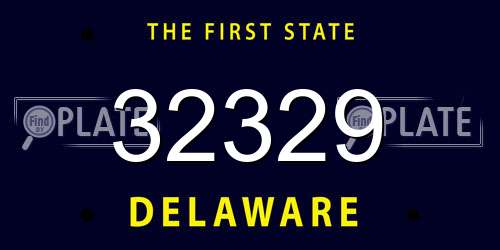 32329 Delaware License Plate