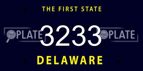3233 Delaware License Plate