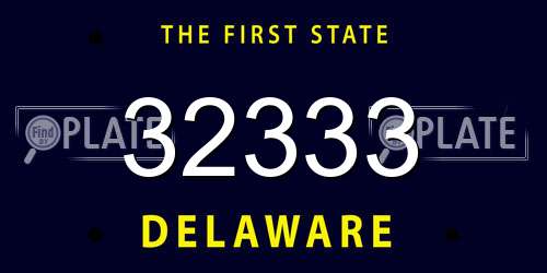 32333 Delaware License Plate