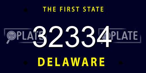 32334 Delaware License Plate