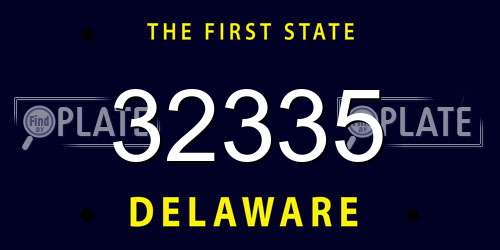 32335 Delaware License Plate