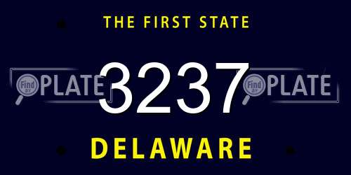 3237 Delaware License Plate
