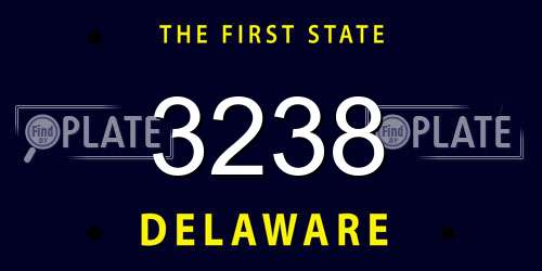 3238 Delaware License Plate