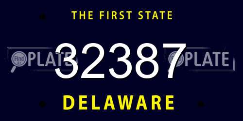 32387 Delaware License Plate
