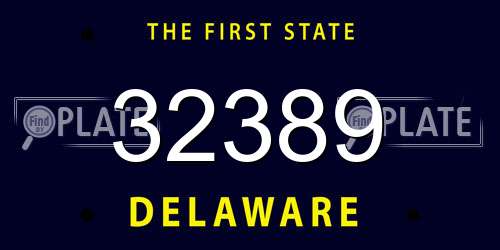 32389 Delaware License Plate