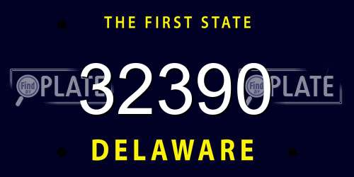 32390 Delaware License Plate