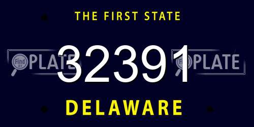 32391 Delaware License Plate