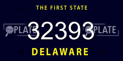 32393 Delaware License Plate