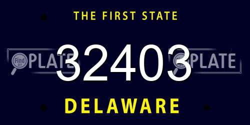 32403 Delaware License Plate