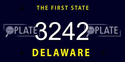 3242 Delaware License Plate