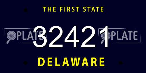 32421 Delaware License Plate