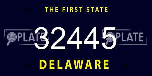 32445 Delaware License Plate
