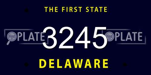 3245 Delaware License Plate
