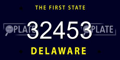32453 Delaware License Plate