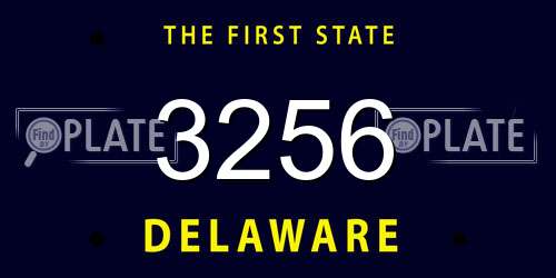 3256 Delaware License Plate