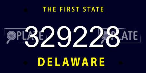 329228 Delaware License Plate